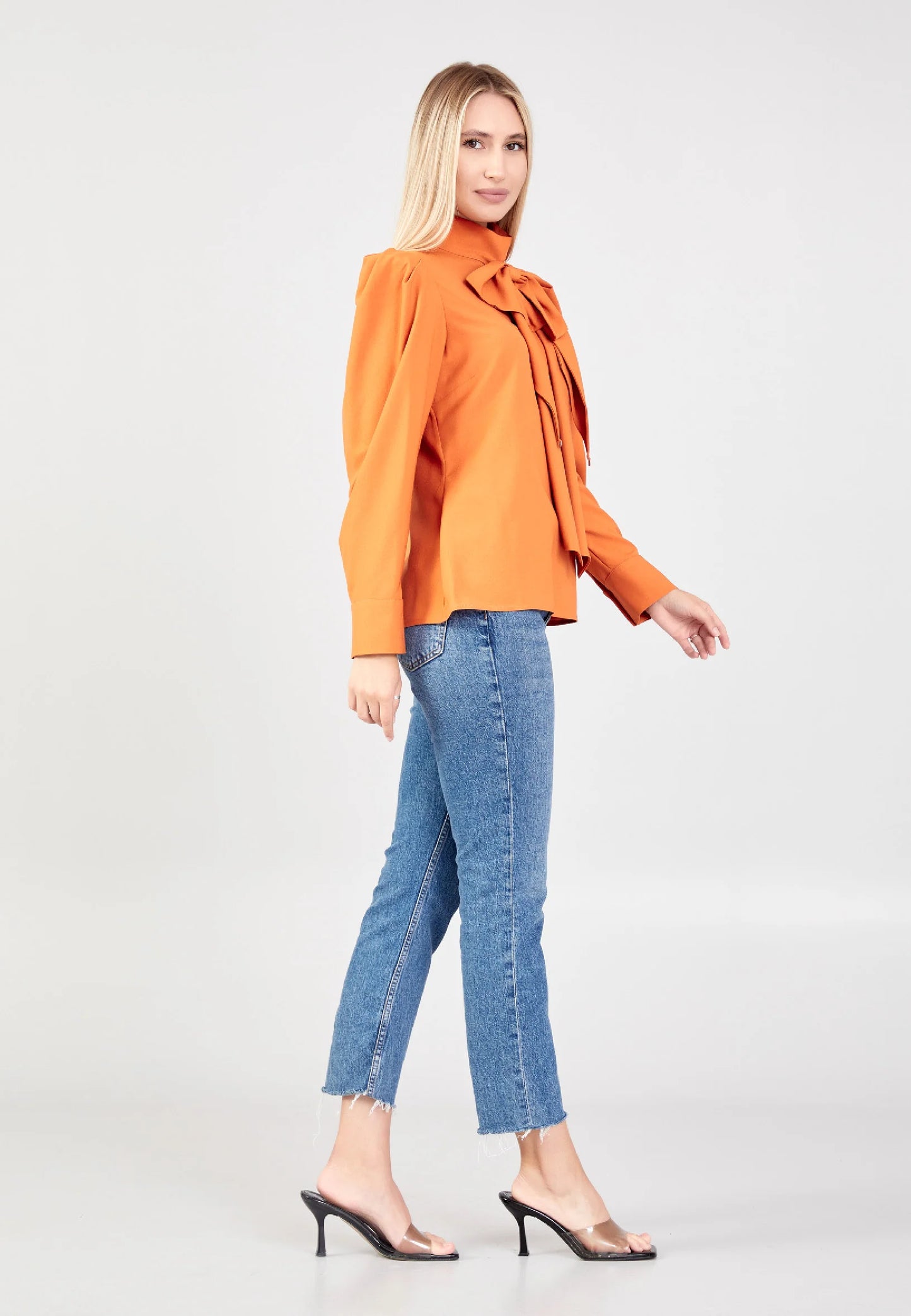 Long Sleeve Regular Solid Color Blouse Unit Price: $25.00