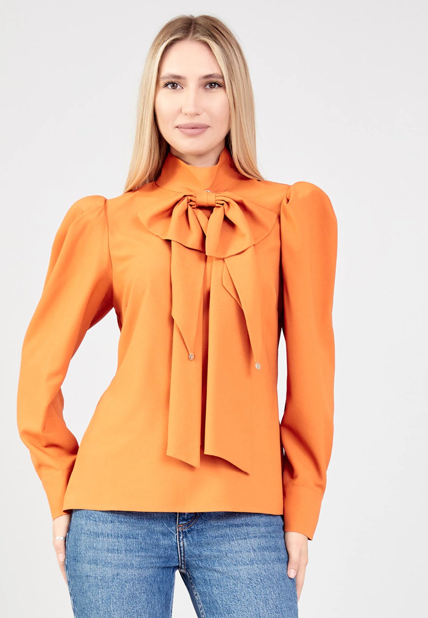 Long Sleeve Regular Solid Color Blouse Unit Price: $25.00