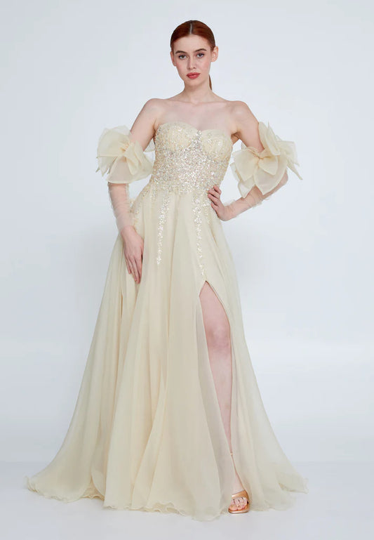 Off Shoulder Maxi Tulle A - Line Regular Prom Dress Champagne - Unit Price: 314$