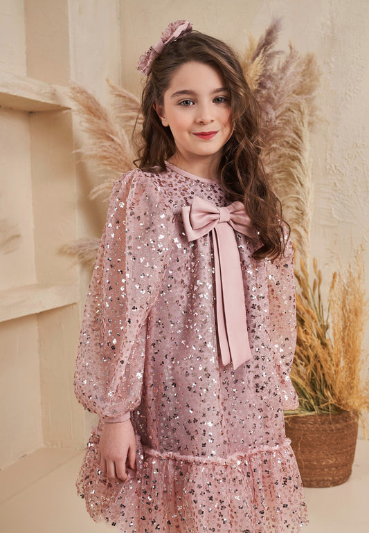 Baby Girl Long Sleeve Tulle Solid Color A - Line 4 - 8 Ages Special Occasion Dress Pink - Unit Price: 43$