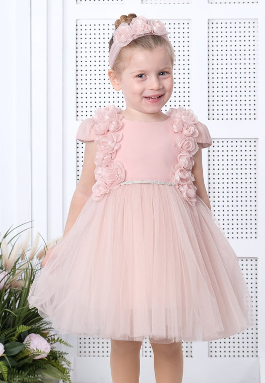 Baby Girl Short Sleeve Tulle Floral A - Line 6 - 36 Months Special Occasion Dress Powder Pink - Unit Price: 27$