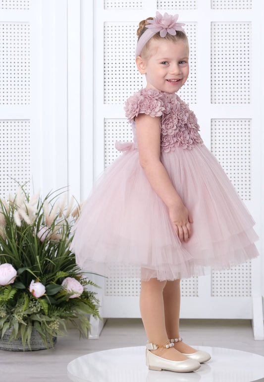 Baby Girl Short Sleeve Tulle Floral A - Line 6 - 36 Months Special Occasion Dress Powder Pink - Unit Price: 25$